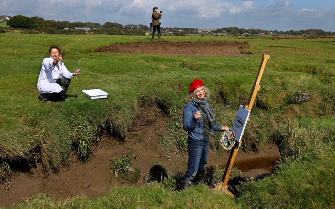 ImMerse Festival to Celebrate Nature and the Solway’s Super Saltmarshes