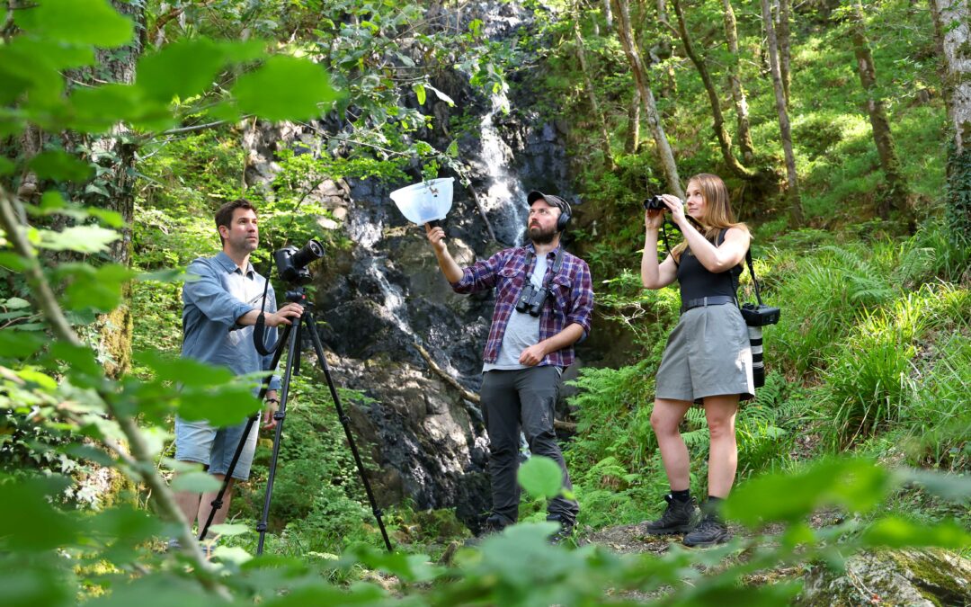Celtic Rainforest Film Reveals Universal Nature of Migration